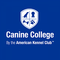 AKC canine college