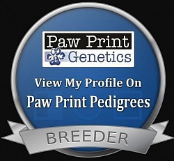 paw print genetic pedigree breeder