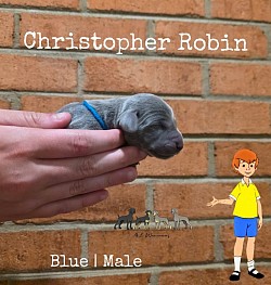 CHRISTOPHER ROBIN (C.R.)