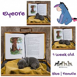 EYEORE