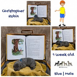 CHRISTOPHER ROBIN (C.R.)